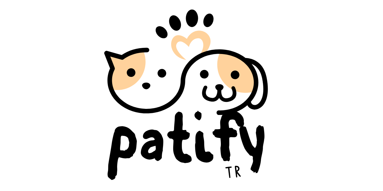 Patify TR