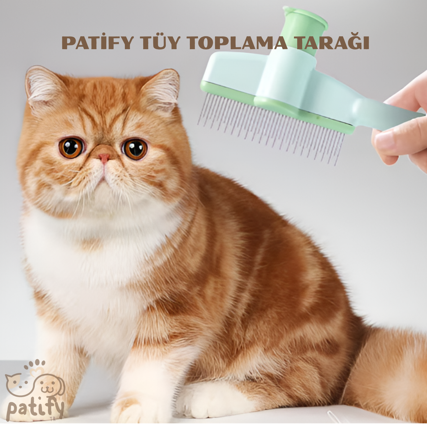 Patify TüyTarak – Hem Tüy Toplar Hem Bitleri Ayırır