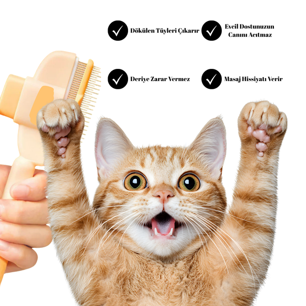 Patify TüyTarak – Hem Tüy Toplar Hem Bitleri Ayırır