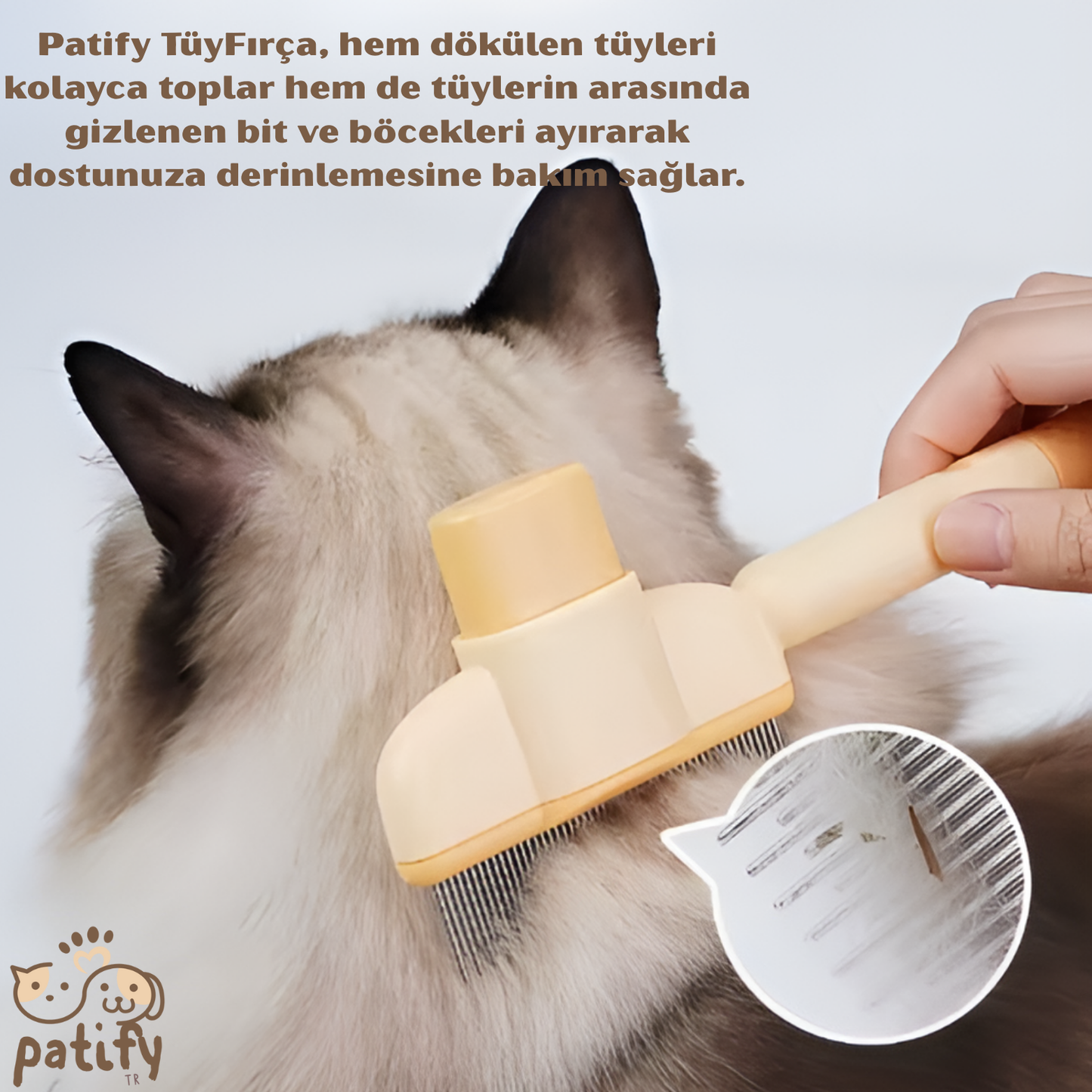 Patify TüyTarak – Hem Tüy Toplar Hem Bitleri Ayırır