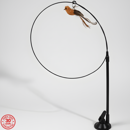 Patify KuşYakala™ – Dairesel Etkileşimli Kedi Oyuncağı