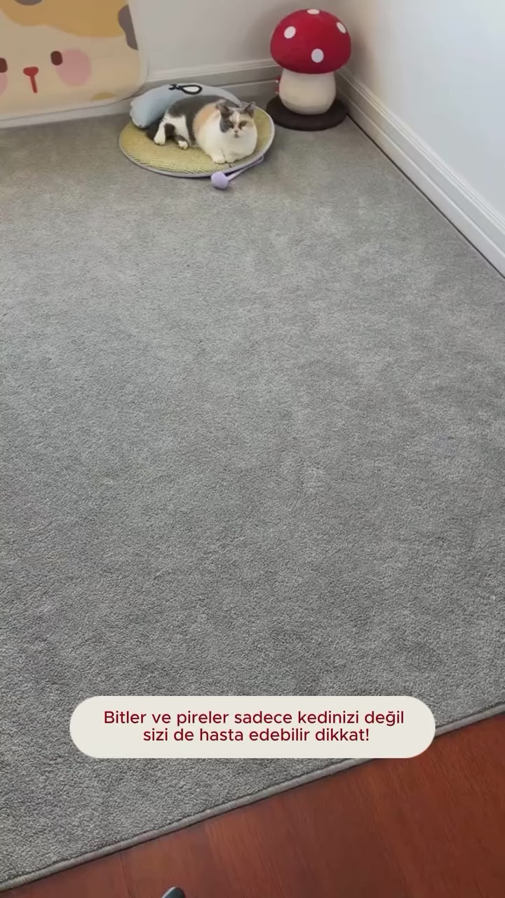 Patify TüyTarak – Hem Tüy Toplar Hem Bitleri Ayırır video