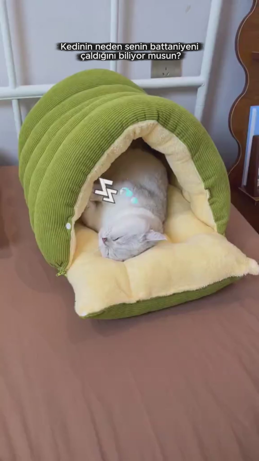 Patify Uyku Tüneli™ – Sıcacık Pelüş Evcil Hayvan Yatağı video