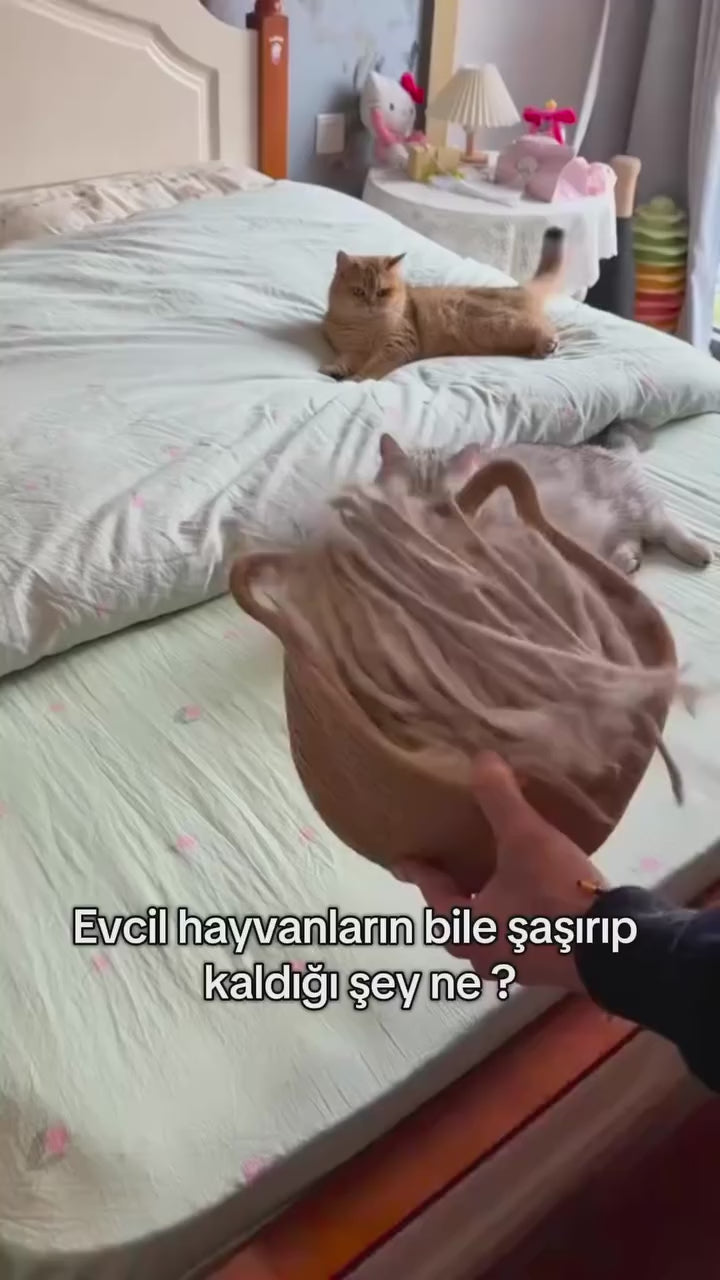 Patify Tüysavar - Tüy Toplayıcı Eldiven video