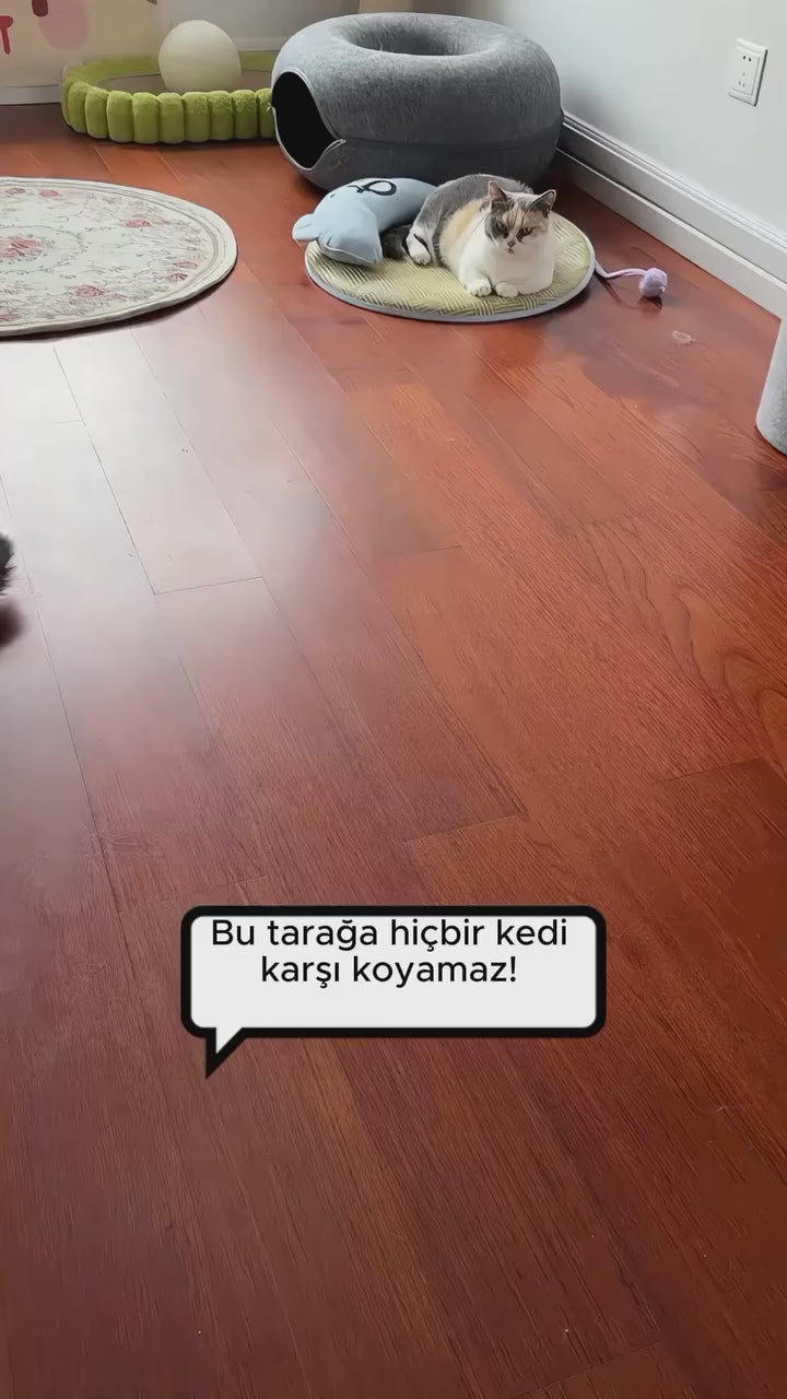 Patify TüyTarak – Hem Tüy Toplar Hem Bitleri Ayırır video