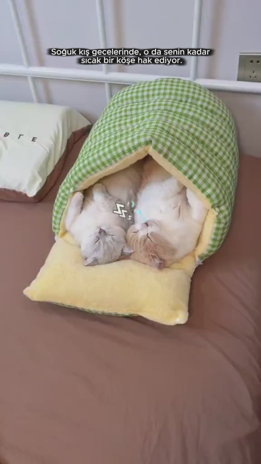 Patify Uyku Tüneli™ – Sıcacık Pelüş Evcil Hayvan Yatağı video